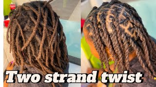 Two strand dreadlocks twist looks beautifulsubscribelocsbeautifullocsbraidstwisthairstyles [upl. by Hgeilhsa]