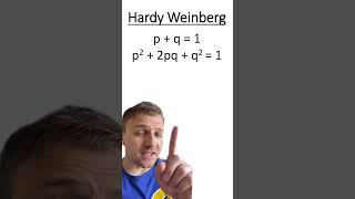 Hardy Weinberg [upl. by Nsaj]