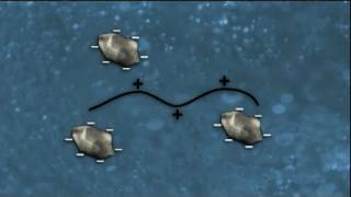 WSO Water Treatment Grade 1 Coagulation amp Flocculation Ch 8 [upl. by Abehsile]