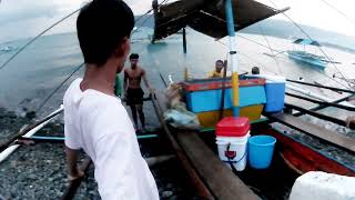 Wow Grabe Ang Jackpot sa mga Mamahaling Isadang Huli fishing fish viralvideo [upl. by Filmer]