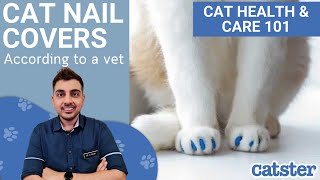 Everything you need to know about cat nail caps [upl. by Audly]