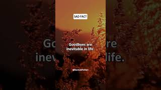 Why Goodbyes Are an Inevitable Part of Life 🌅💔 shorts [upl. by Enitsirc]