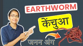 जिंदा केंचुआ  Alive Earthworm  Biology Practical [upl. by Acireit559]