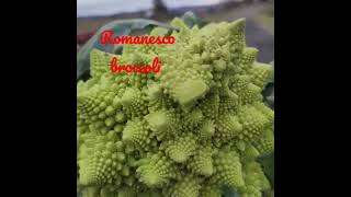 Romanesco broccoli also known as broccolo romanesco romanesque cauliflower or romanesco [upl. by Adnara]