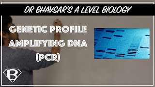 DNA profiles Polymerase chain reaction PCR [upl. by Fitzpatrick895]