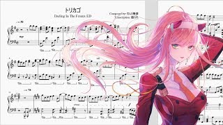 Torikago  Darling In The FranXX ED  Violin Cover [upl. by Harraf]