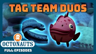 Octonauts  🦭 Awesome Tag Team Duos 🦭  Bumper Pack Special  Full Episodes [upl. by Marder]