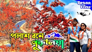 Purilia Drone Video  Purulia and Palash  পলাশের পুরুলিয়া  Purulia Tour  Sacred Tree in Purulia [upl. by Hershell]