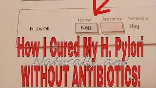 Cure H Pylori Without Antibiotics With Test Proof [upl. by Dnomsaj]