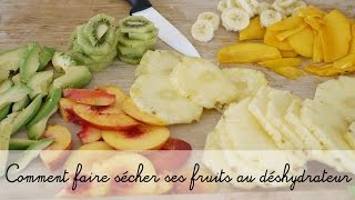 Comment déshydrater des fruits  Conseils et mode demploi en vidéo [upl. by Yajiv]