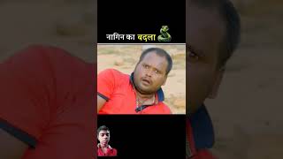 नागिन का बदला😡 story nagin snake amazingfacts factsinhindi shortfeed facts funnynagin [upl. by Magas418]