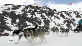 Servus Tv Frühstücksfernsehen live von der Husky Ranch [upl. by Winnifred]