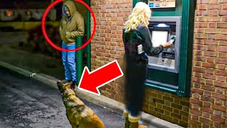 Man Attacks Woman At ATM – Unaware That Her Dog Is A Cop [upl. by Aneeh]