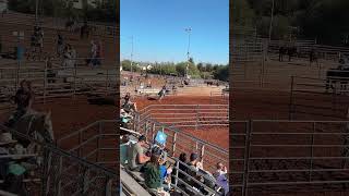 Horse Race in Queen Creek [upl. by Dola893]