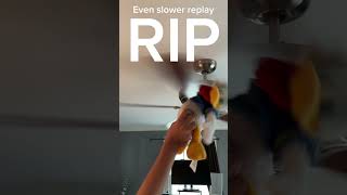 RIP Donald Duck [upl. by Bel774]