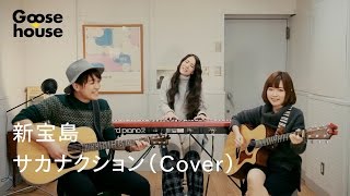 新宝島／サカナクション（Cover） [upl. by Ahtnahc195]