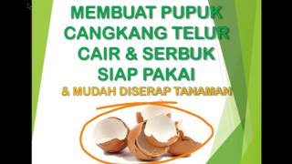 Tutorial MEMBUAT PUPUK CAIR DAN SERBUK DARI CANGKANG TELUR YANG MUDAH DISERAP TANAMAN [upl. by Adnovoj]