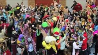 Waterdown High School does the Harlem Shake [upl. by Alard140]