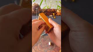 In China people have started raising insects instead of animals shortvideo [upl. by Backer358]