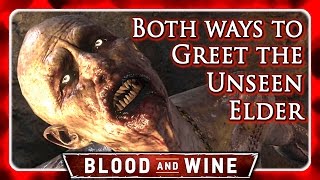 Witcher 3 🌟 BLOOD AND WINE 🌟 Both Choices when meeting the Unseen Elder [upl. by Yentroc]