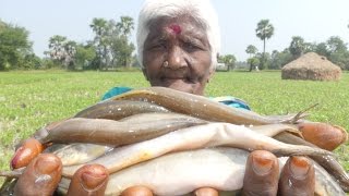 VILLAGE STYLE MAKE PEACOCK EEL FISH FRY  VERY AGGRESSIVE FISH PEACOCK EEL  EASY FISH FRY [upl. by Chloe924]