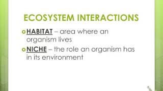 Ecology Notes  Organisms amp Their Relationships [upl. by Teillo]