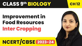 Cropping Patterns  Inter Cropping  Improvement in Food Resources  Class 9 Biology Chapter 12 [upl. by Notlad]