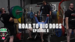 Building Momentum  Road to Big Dogs Ep5 [upl. by Nifled]