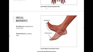 84  Synovial Joints [upl. by Haney]