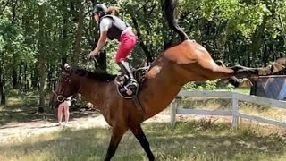 Equestrian horse riding falls and fails￼ [upl. by Mw]