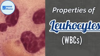 Properties of Leukocytes WBCs  Blood Physiology [upl. by Atiekram]