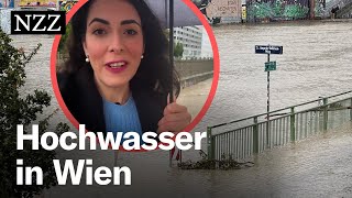 Hochwasser in Wien Nicht die Donau ist das Problem – sondern der Wienfluss [upl. by Velvet871]