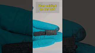 metallisches Uran oxidiert an der Luft chemie uran chemistry experiment [upl. by Bruni878]