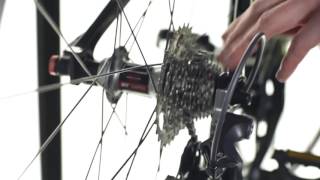 How To Adjust Shimano Rear Derailleurs [upl. by Surovy]