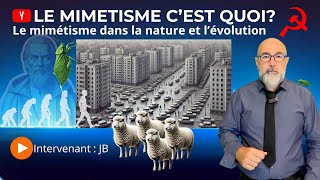 Le mimétisme et ses dangers [upl. by Jueta]