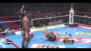 Alistair Overeem Highlight [upl. by Comethuauc45]