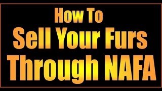 Trapline Tutorials HOW TO SELL FURS THROUGH NAFA [upl. by Nabi]