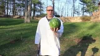 Watermelon VS Baseball Bat in Slow Motion [upl. by Zrike]