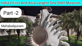 India sea shell museum😍  Mahabalipuram  Chennai  Tuluvlog [upl. by Aloin]