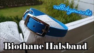 Biothane Halsband selbstgemacht  Anleitung  DIY [upl. by Lunseth]