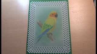 Sun Conure painted with Faber Castell Polychromos [upl. by Heller671]