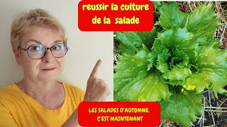 COMMENT RÉUSSIR LE SEMI DE SALADE TUTO JUSQUÀ LA PLANTATION [upl. by Acysej]