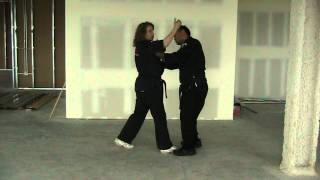 Mace of Aggression  American kenpo Karate [upl. by Carly563]