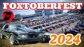 I Brought My Cammed 1987 Mustang GT Foxbody to Foxtoberfest 2024 [upl. by Damiano]