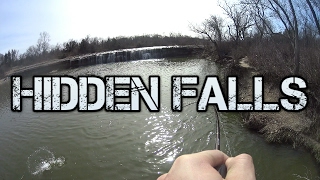 Hidden Falls Hybrids and Largemouth Bass [upl. by Lledner]