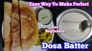 Easy Way To Make Perfect Dosa Batter Recipe For Beginners dosabattternandascreativity [upl. by Ellak]