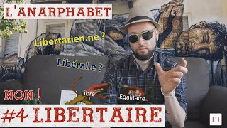 Libertaire VS libertarien quelles différences   L comme LIBERTAIRE [upl. by Rintoul338]