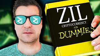 Zilliqa 20 ZIL Review A Beginners Guide [upl. by Eliak]