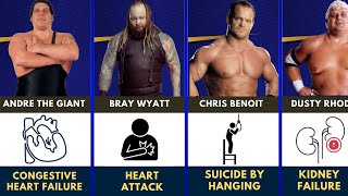 How WWE Wrestlers died wwe wwewrestlers died [upl. by Farnham]