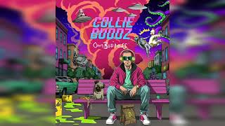 Collie Buddz  Own Business Official Audio [upl. by Salangia]